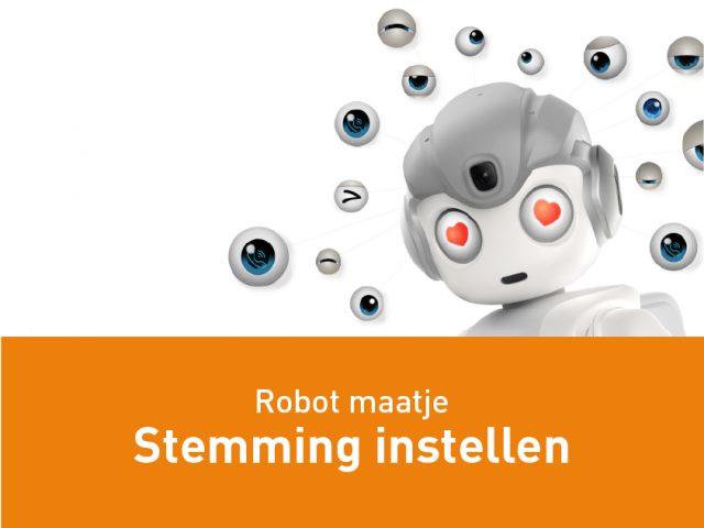 Robot maatje – Stemming