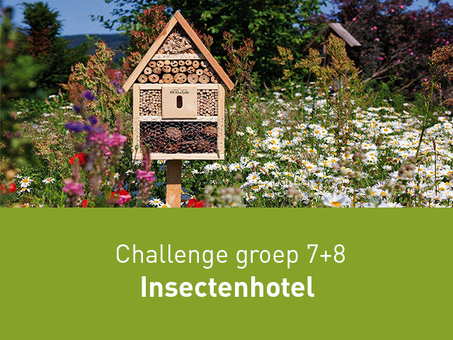 Challenge Insecten Hotel
