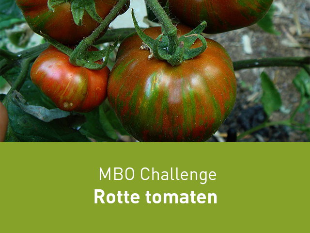 Challenge Rotte tomaten