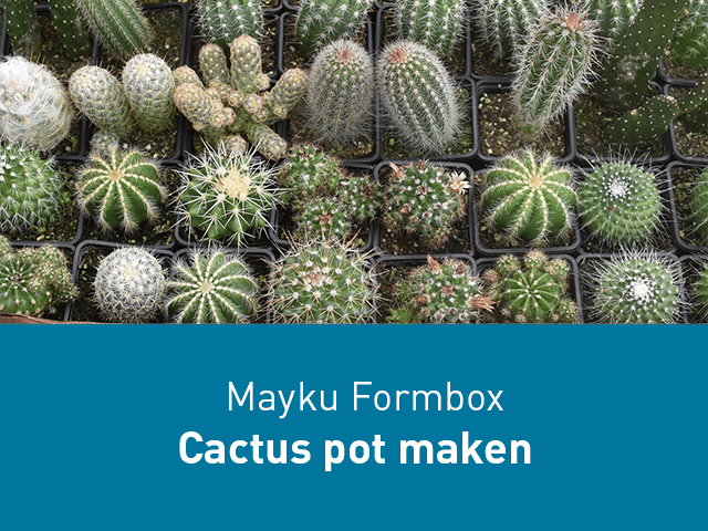 Cactus pot maken
